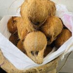 Semi Husked Coconut  85 count | weight 55 to 60 kgs | origin tamilnadu (polachi)  <br> (₹4600 Per Bag)