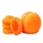 Dried Apricot