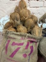 Semi Husked Coconut  175 count | weight 55 to 60 kgs | origin tamilnadu (polachi) <br> (₹4800 Per Bag)