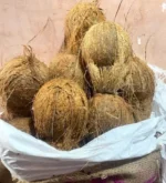 Semi Husked Coconut 100 count | weight 55 to 60 kgs | origin - bulachi (tamilnadu) <br> (₹4800 Per Bag)