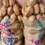 Husked Coconut 120 count | weight 60 to 65 kgs | Origin Tamilnadu <br> (₹4400 Per Bag)
