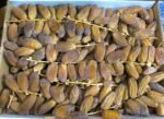 Tunisian Dates (Algerian) <BR> (₹310Per Kg) - Image 2