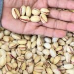 Pista (American) (10kg) <BR> (₹1000 Per Kg)