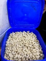 Cashew W320 (10kg Bucket) <BR> (₹960 Per Kg) - Image 4