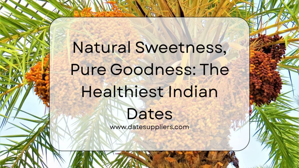Dates Supplier