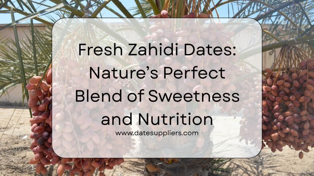 Dates Supplier