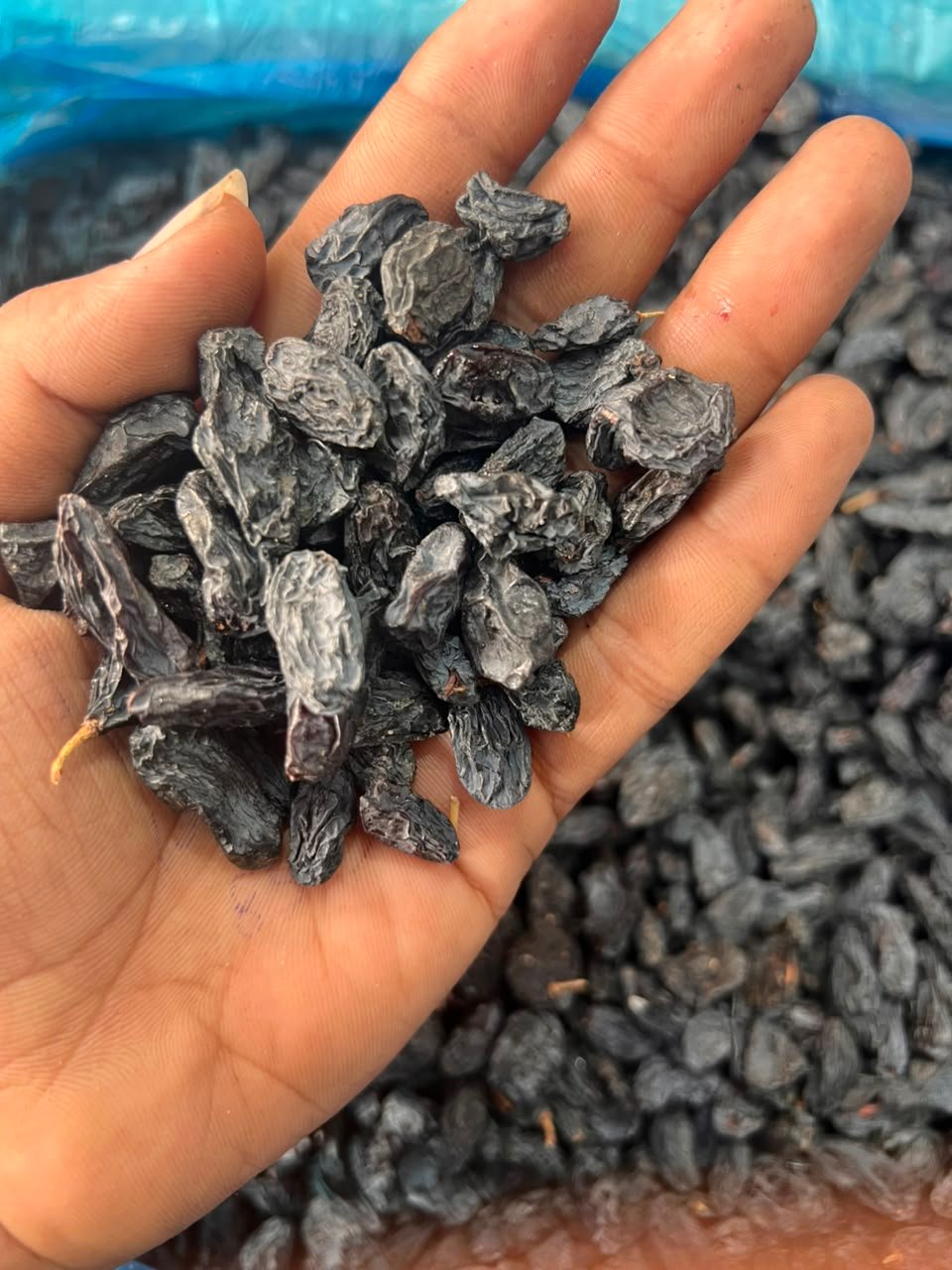 Black kishmish Black Raisins (kismis)10kg <BR>(₹450rs per kg) - Image 1